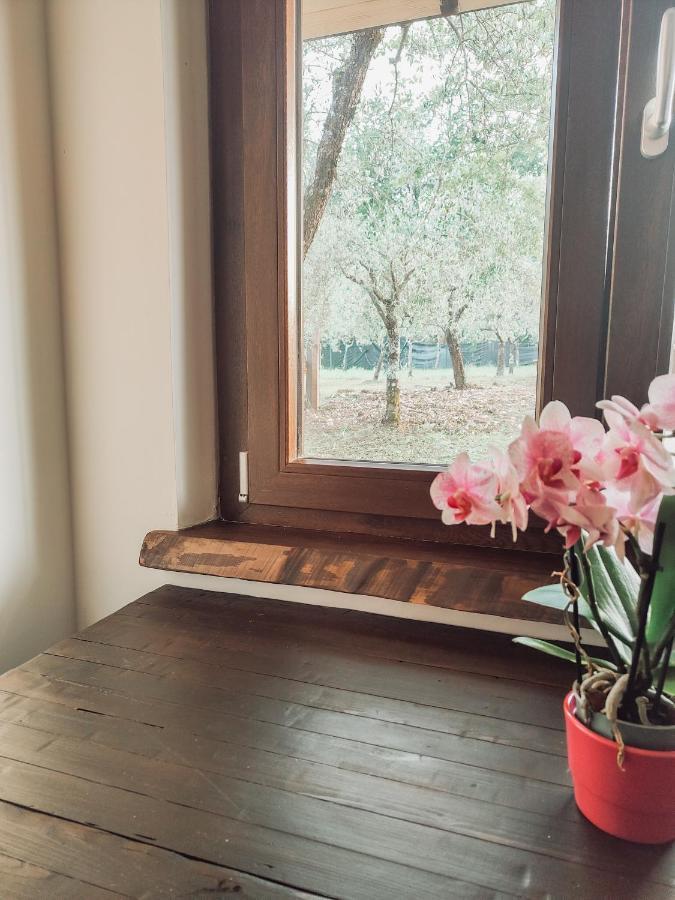 Casale Dei Ricordi Bed & Breakfast Arce Exterior photo