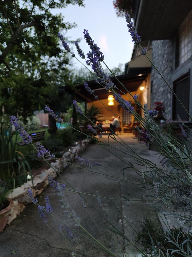 Casale Dei Ricordi Bed & Breakfast Arce Exterior photo