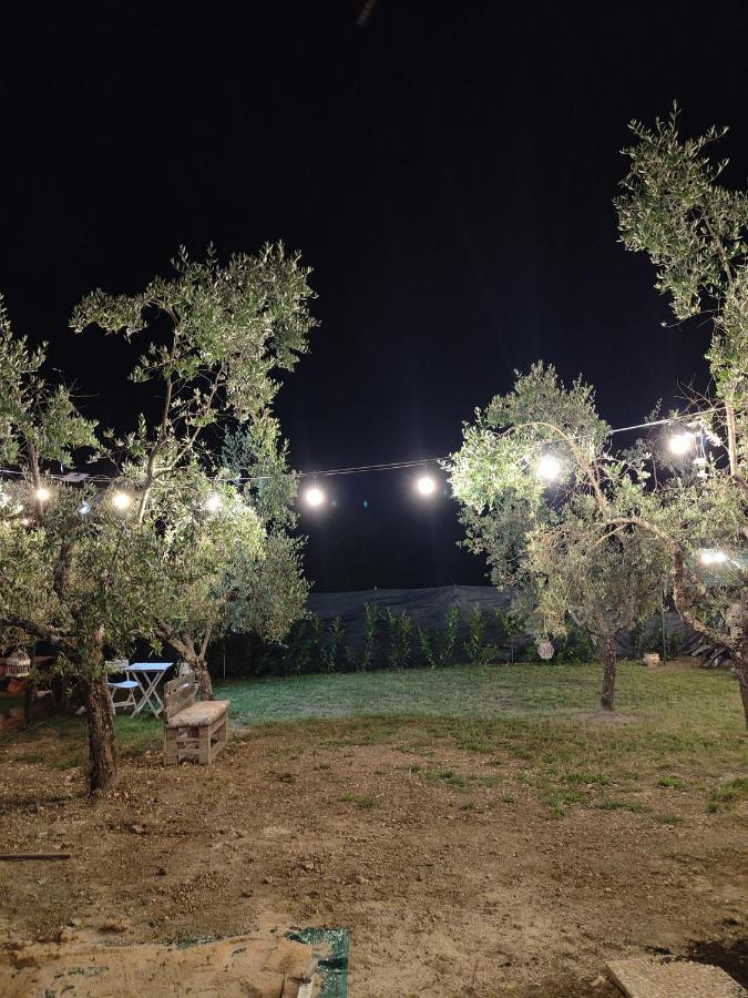 Casale Dei Ricordi Bed & Breakfast Arce Exterior photo