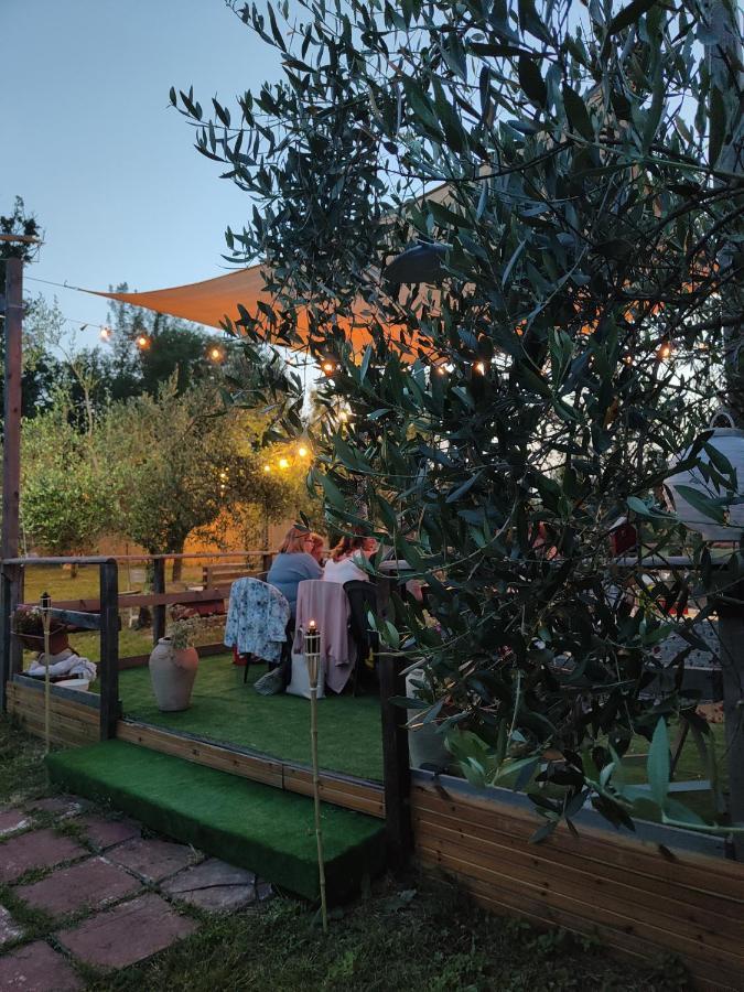 Casale Dei Ricordi Bed & Breakfast Arce Exterior photo